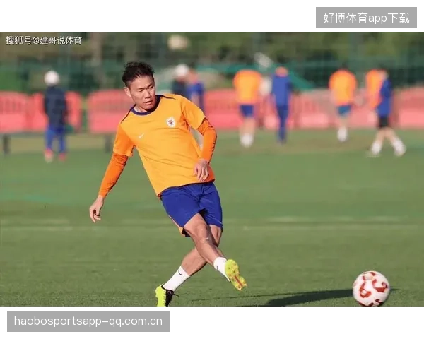 申花与泰山：甲A冠军的传奇与坚韧——两支球队如何在逆境中书写辉煌
